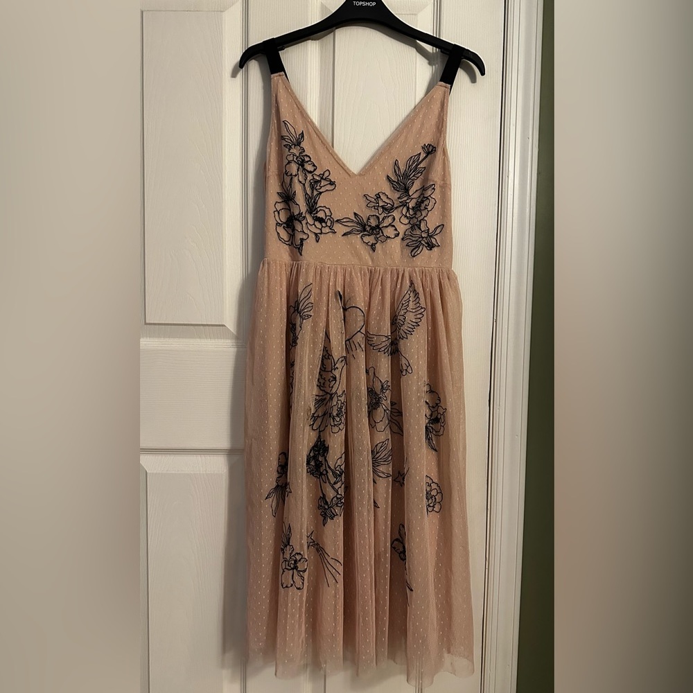 Express Pink Nude Tulle Tattoo Embroidered Floral Bird Midi  Dress Size 6